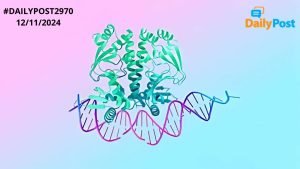 Alphafold 3 Goes Open Source